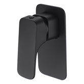 Acl Eden Shower Mixer Matte black